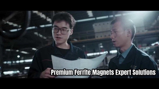 Magneti permanenti in ferrite ad alte prestazioni di JOINT MAG
